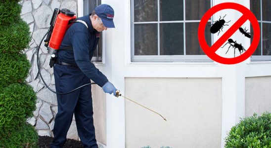 Kaynaklar Kene İlaçlama böcek ilaçlama ve haşere kontrolü — ilaclama-tr.com